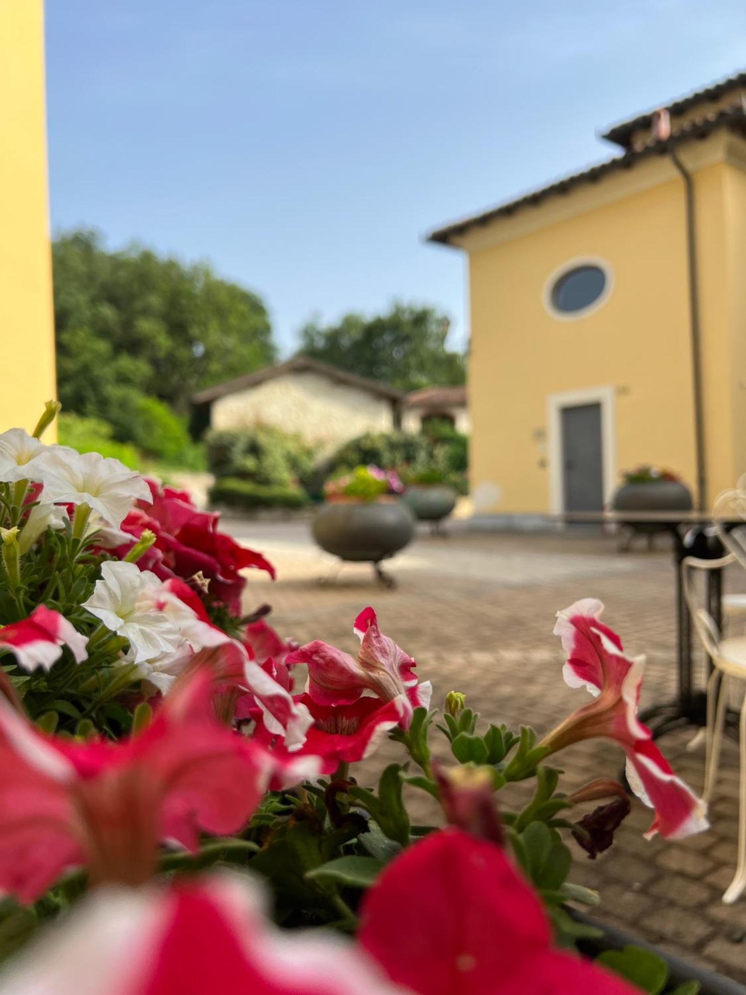 Casale Milleseicento Pensionat Gavi Exteriör bild